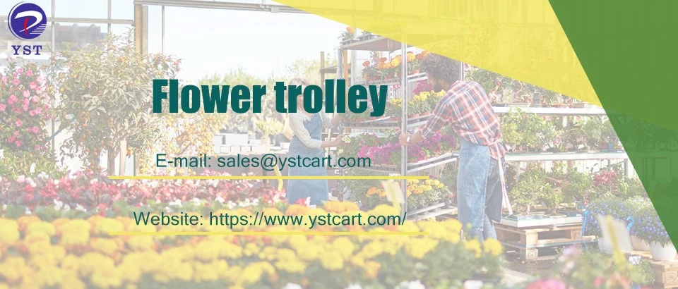 Take Plant Cultivation Take Plant Cultivation