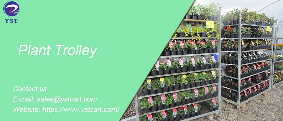Plant Trolleys 1 Plant Trolleys 1