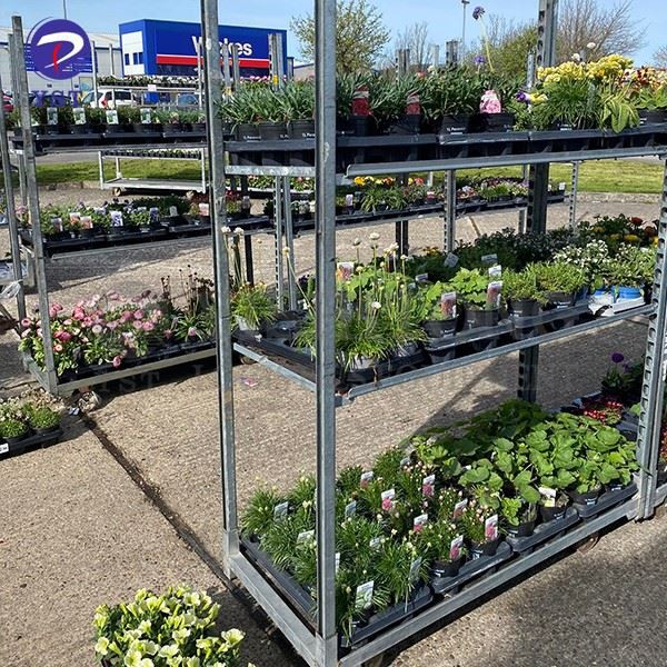 Dutch Trolley Nursery