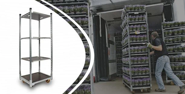 عربة هولندية