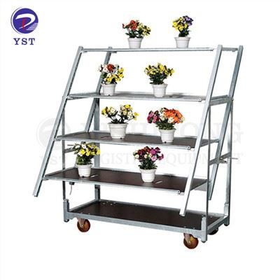 عربة عرض النباتات