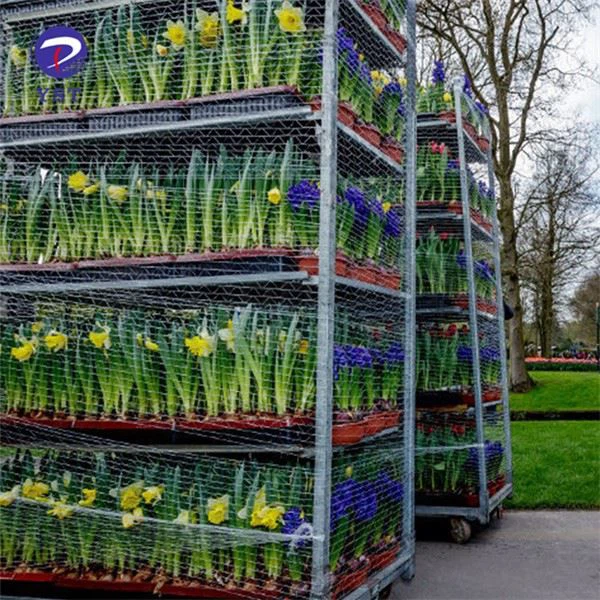 Nursery Cc Racks