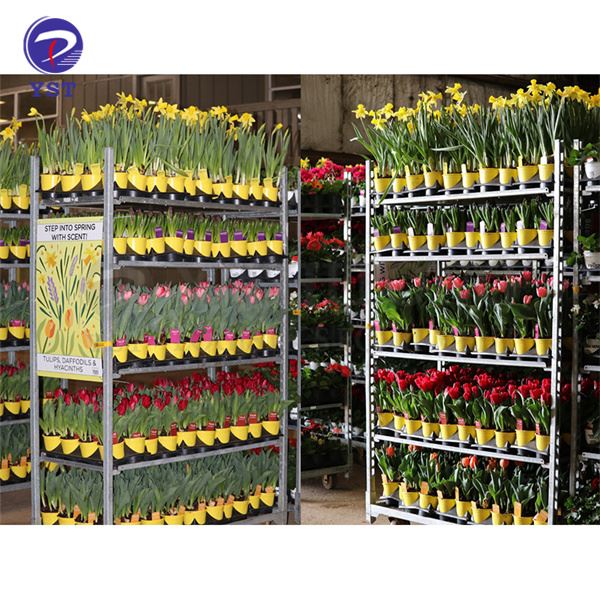 عربات معدنية دوارة لنقل النباتات