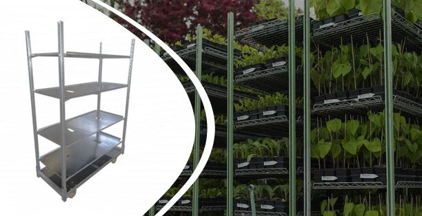 عربة الدنماركية