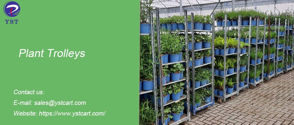 Plant Trolleys-2 Plant Trolleys-2