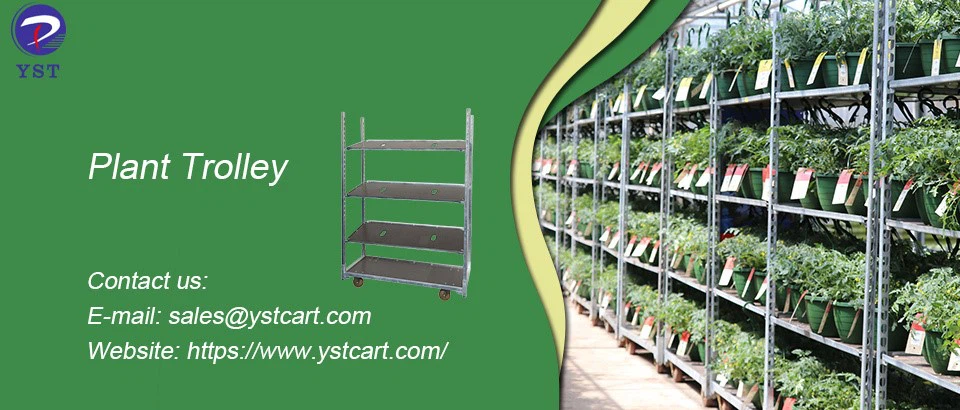 Plant Trolley-1 Plant Trolley-1