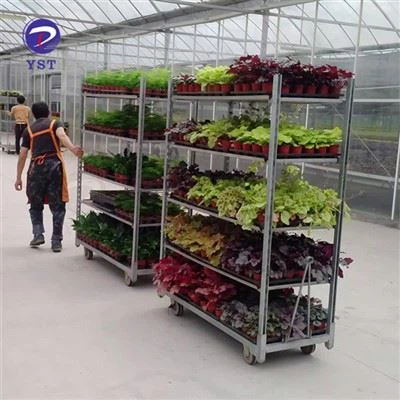 عربة نقل نباتات الحضانة